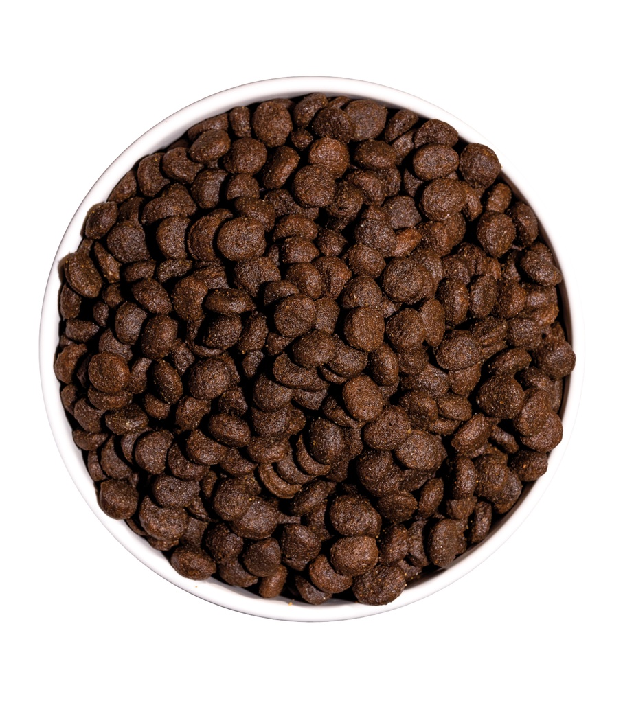 detail-ow-grain-free-prime-junior-lamb-plato