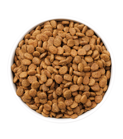 detail-ULTRA CAT YOUNG STERILIZED_3KG_PLATO